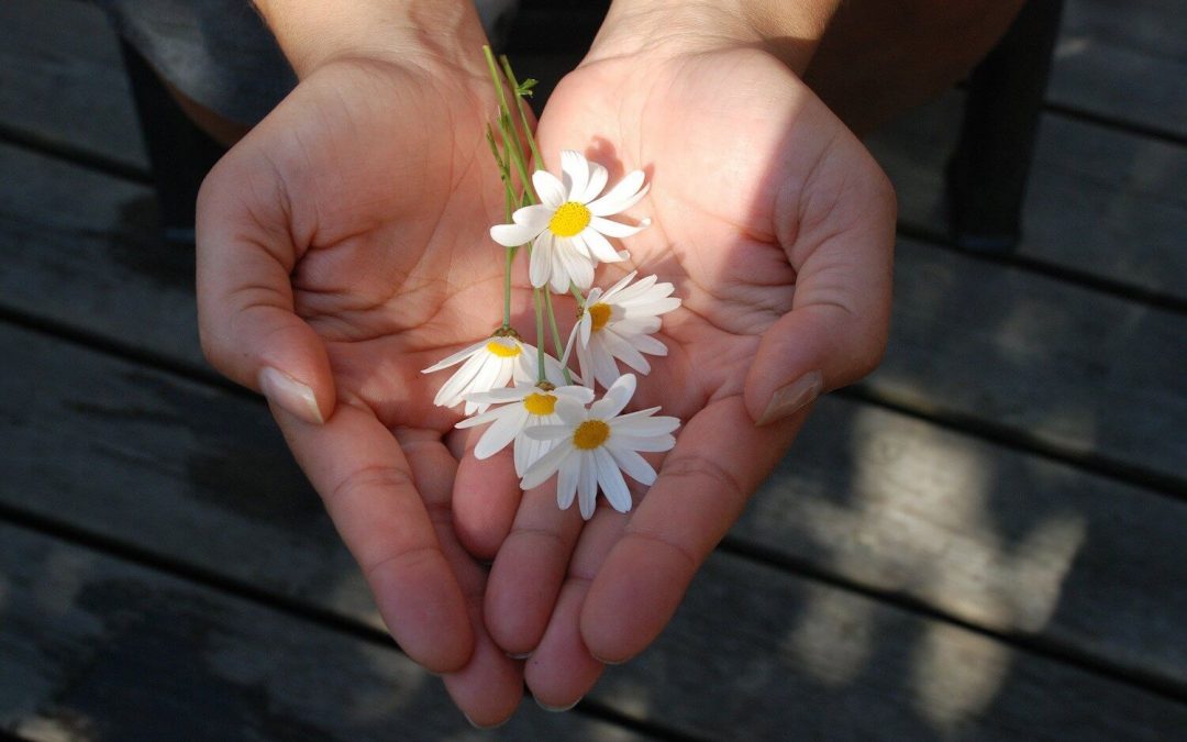 Random Acts of Kindness